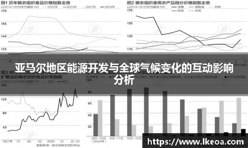 热博亚马尔地区能源开发与全球气候变化的互动影响分析